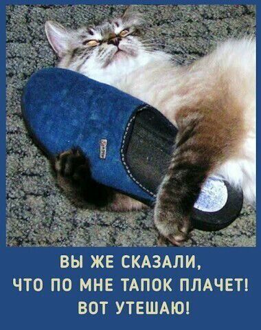 ВЫ ЖЕ СКАЗАЛИ, ЧТО ПО МНЕ ТАПОК ПЛАЧЕТ! ВОТ УТЕШАЮ!