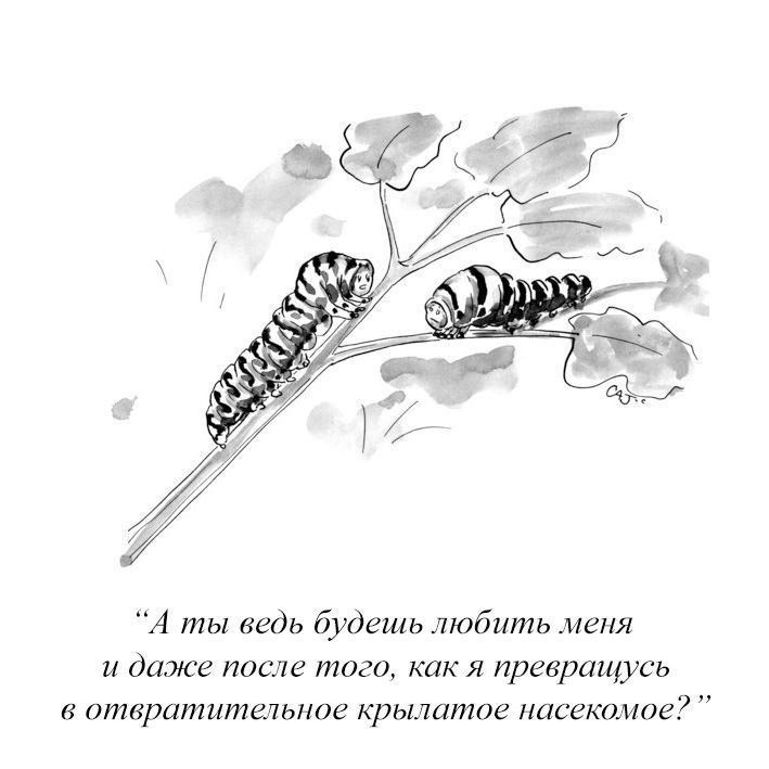 А ты ведь будешь любить меня и даже после того, как я превращусь в отвратительное крылатое насекомое?