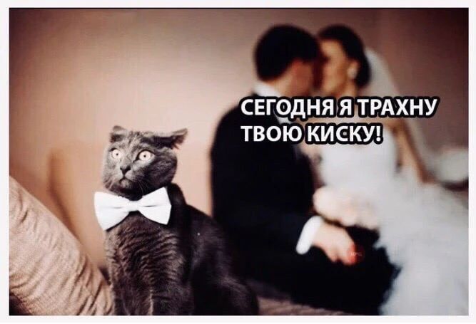СЕГОДНЯ Я ТРАХНУ ТВОЮ КИСКУ!