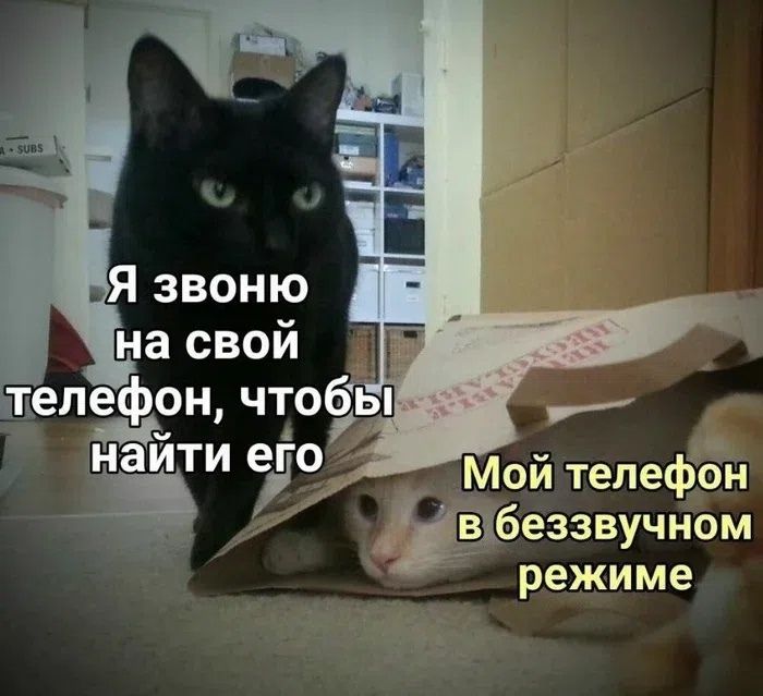 Я звоню на свой телефон, чтобы найти его. Мой телефон в беззвучном режиме.