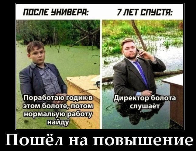 ПОСЛЕ УНИВЕРА: Поработаю годик в этом болоте, потом нормальную работу найду. 7 ЛЕТ СПУСТЯ: Директор болота слушает. Пошёл на повышение.