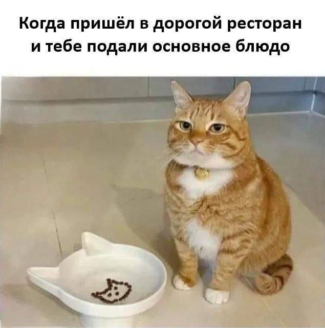 Когда пришёл в дорогой ресторан и тебе подали основное блюдо