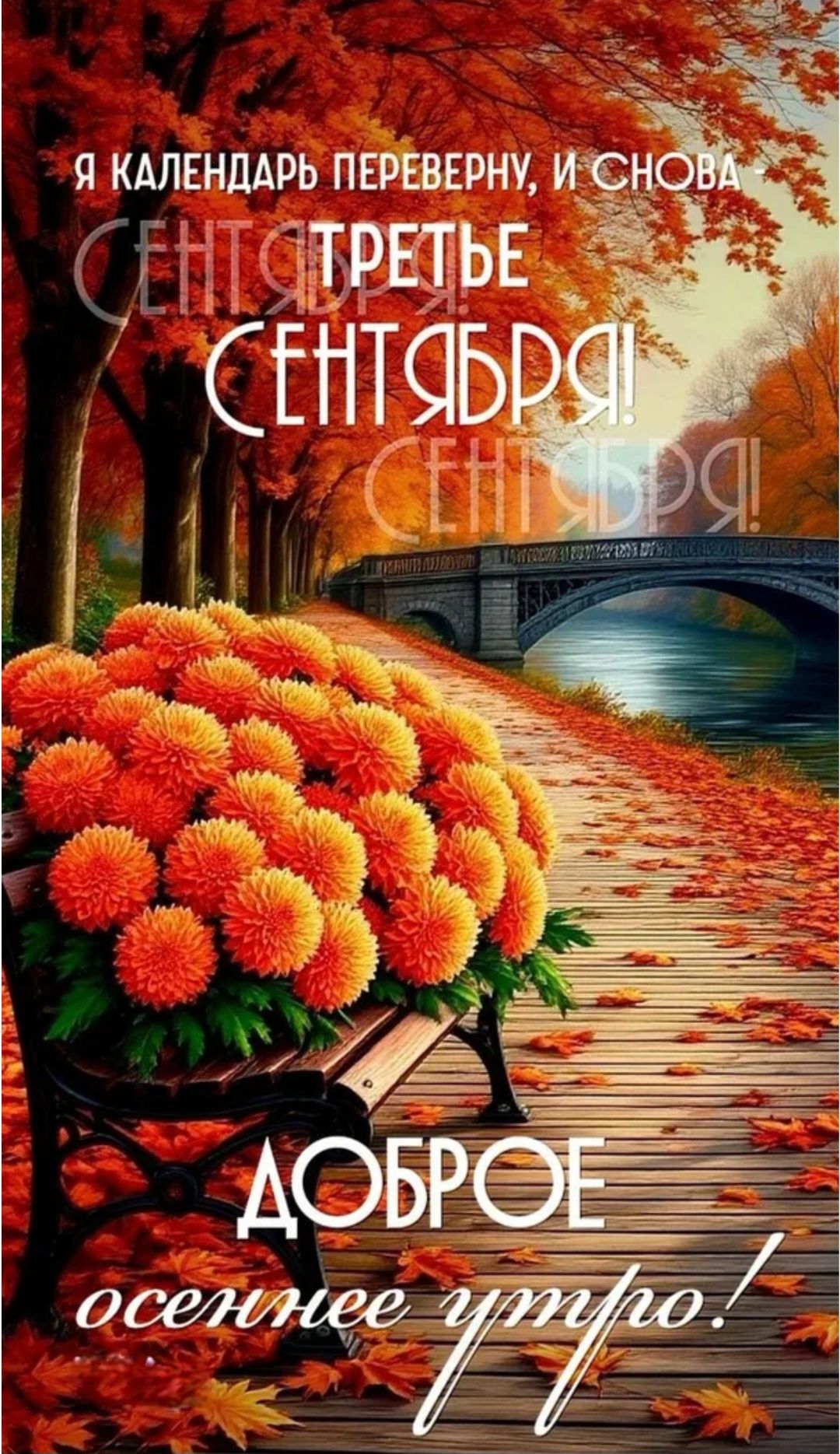Я КАЛЕНДАРЬ ПЕРЕВЕРНУ, И СНОВА СЕНТЯБРЬ ТРЕТЬЕ СЕНТЯБРЯ! ДОБРОЕ осеннее утро!