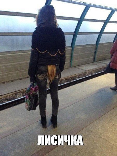 ЛИСИЧКА