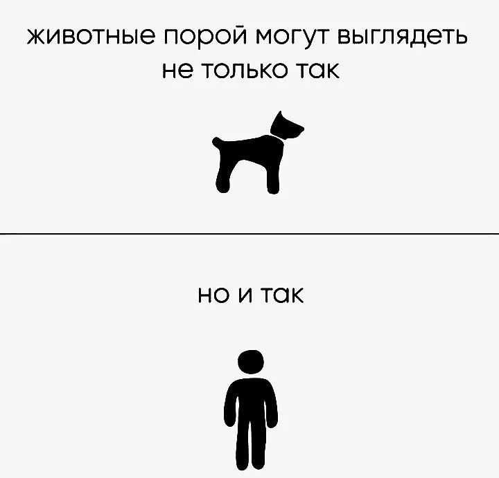 животные порой могут выглядеть не только так но и так