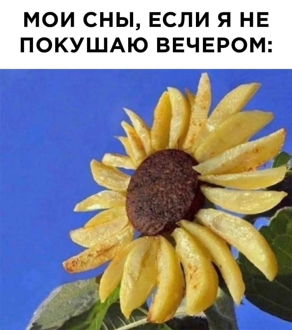 МОИ СНЫ, ЕСЛИ Я НЕ ПОКУШАЮ ВЕЧЕРОМ: [картинка подсолнуха, лепестки которого сделаны из картофеля фри, а серединка из котлеты]