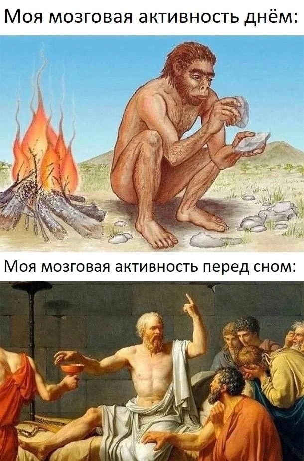 Моя мозговая активность днём: Моя мозговая активность перед сном: