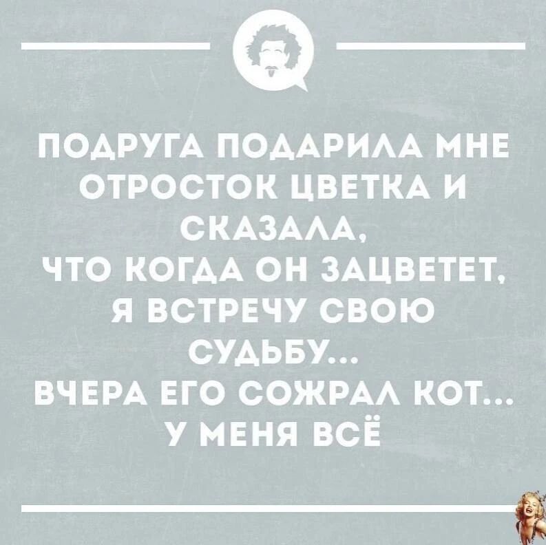 ПОДРУГА ПОДАРИЛА МНЕ ОТРОСТОК ЦВЕТКА И СКАЗАЛА, ЧТО КОГДА ОН ЗАЦВЕТЕТ, Я ВСТРЕЧУ СВОЮ СУДЬБУ... ВЧЕРА ЕГО СОЖРАЛ КОТ... У МЕНЯ ВСЁ