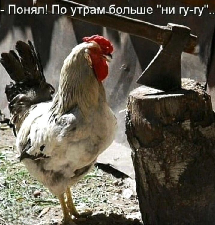 Понял! По утрам больше 