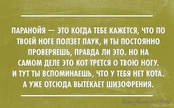 ПАРАНОЙЯ — ЭТО КОГДА ТЕБЕ КАЖЕТСЯ, ЧТО ПО ТВОЕЙ НОГЕ ПОЛЗЕТ ПАУК, И ТЫ ПОСТОЯННО ПРОВЕРЯЕШЬ, ПРАВДА ЛИ ЭТО. НО НА САМОМ ДЕЛЕ ЭТО КОТ ТРЕТСЯ О ТВОЮ НОГУ. И ТУТ ТЫ ВСПОМИНАЕШЬ, ЧТО У ТЕБЯ НЕТ КОТА. А УЖЕ ОТСЮДА ВЫТЕКАЕТ ШИЗОФРЕНИЯ.