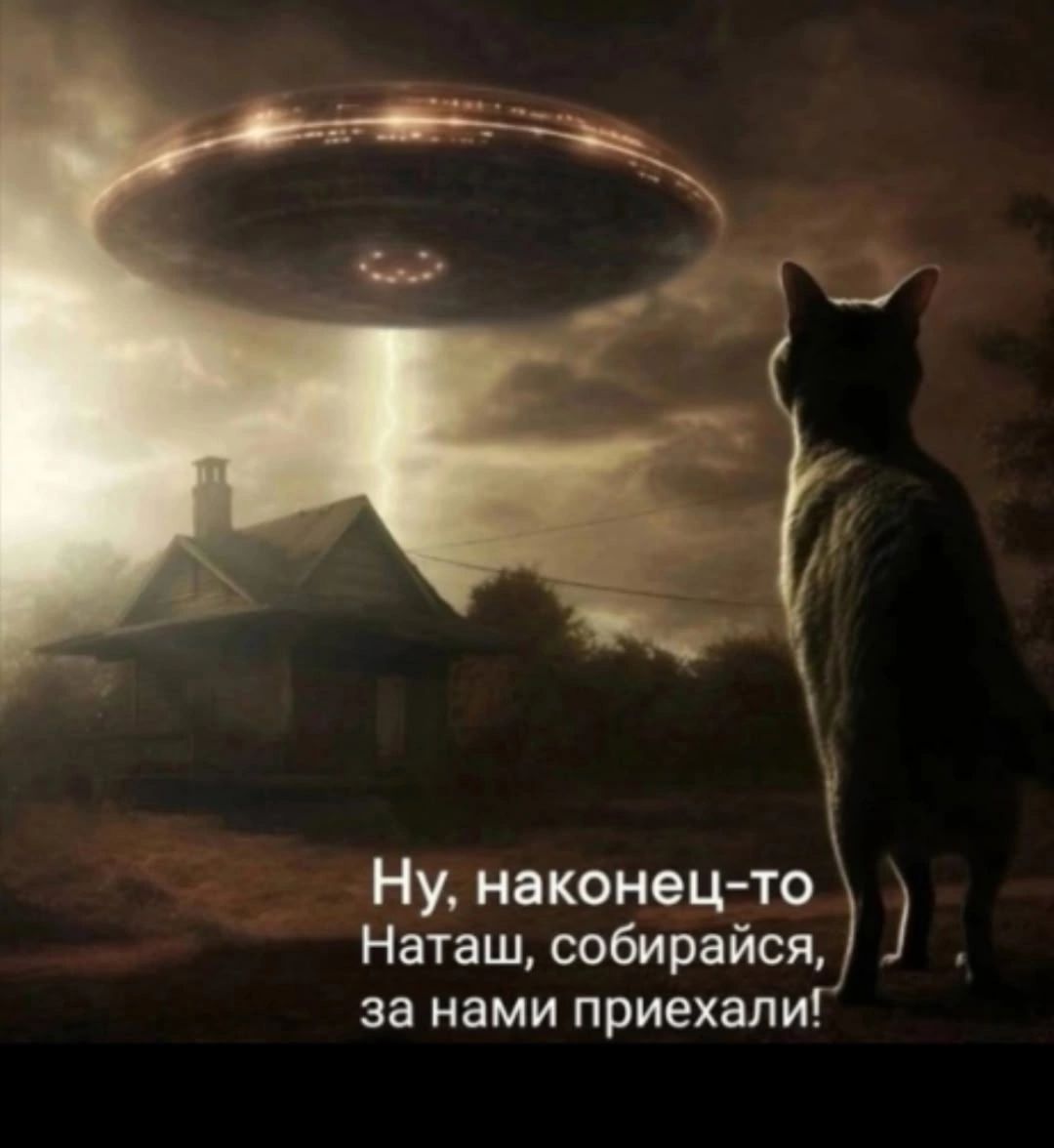 Ну, наконец-то Наташ, собирайся, за нами приехали!