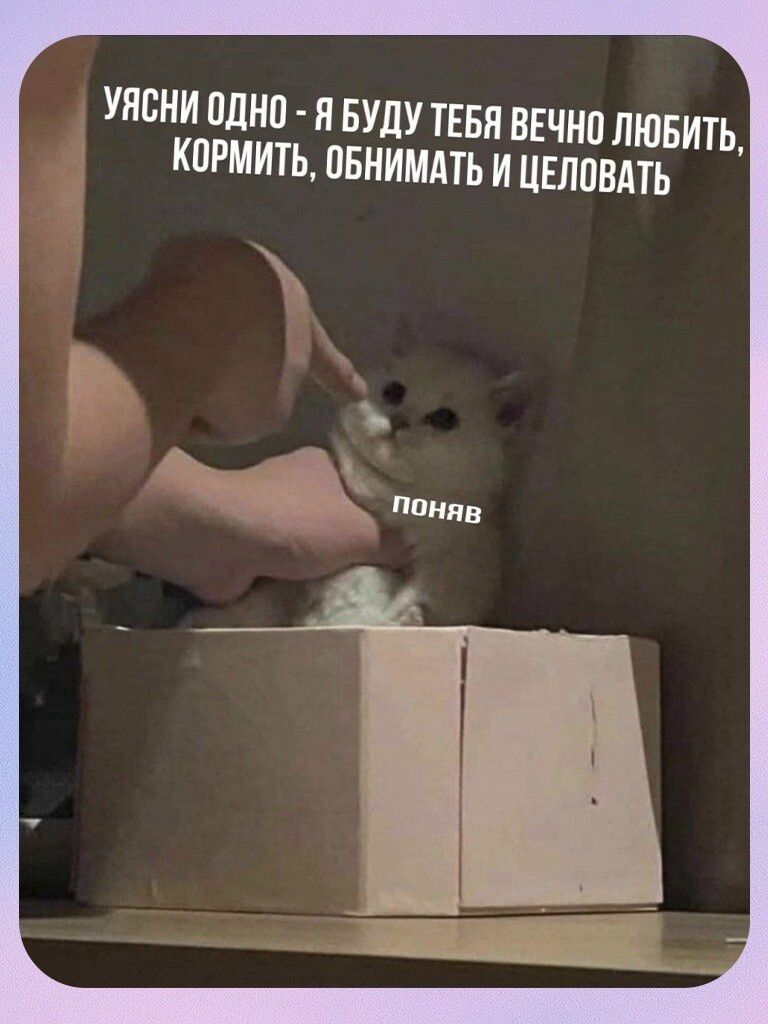 Уясни одно - я буду тебя вечно любить, кормить, обнимать и целовать. ПОНЯВ