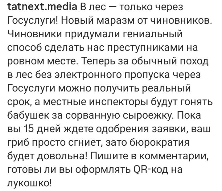 tatnext.media В лес — только через Госуслуги! Новый маразм от чиновников. Чиновники придумали гениальный способ сделать нас преступниками на ровном месте. Теперь за обычный поход в лес без электронного пропуска через Госуслуги можно получить реальный срок, а местные инспекторы будут гонять бабушек за сорванную сыроежку. Пока вы 15 дней ждете