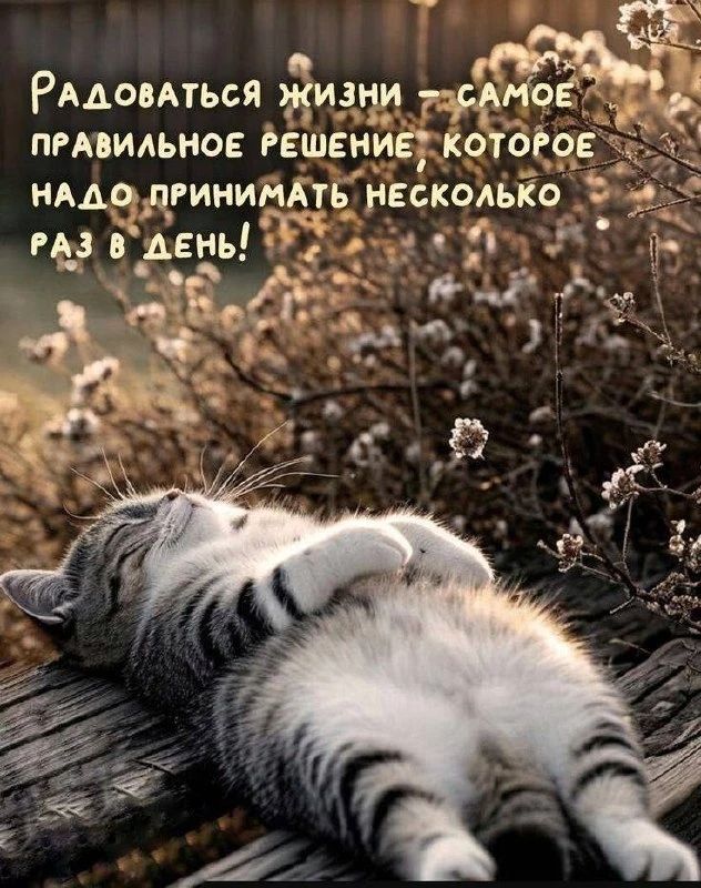 Радоваться жизни - самое правильное решение, которое надо принимать несколько раз в день!