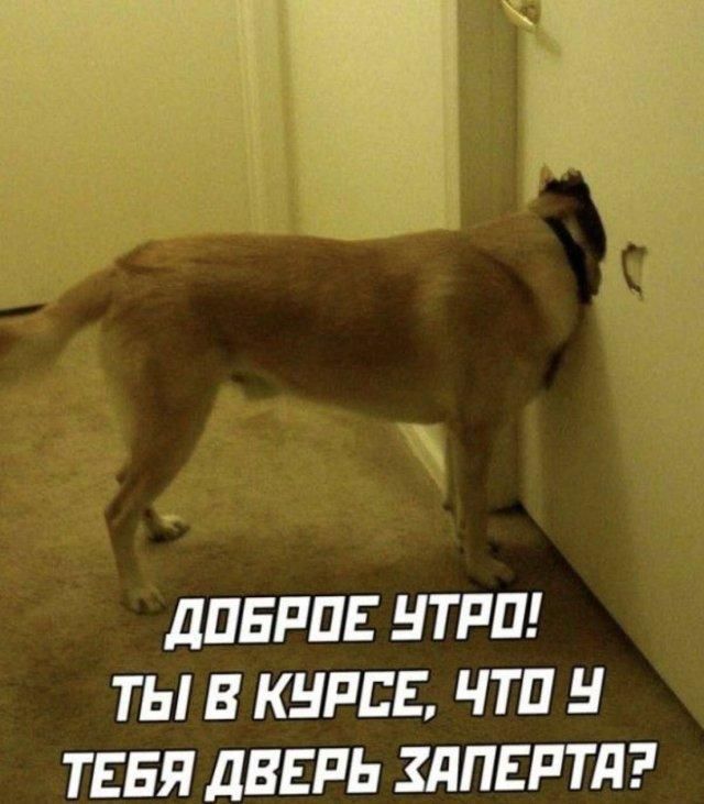 ДОБРОЕ УТРО! ТЫ В КУРСЕ, ЧТО У ТЕБЯ ДВЕРЬ ЗАПЕРТА?