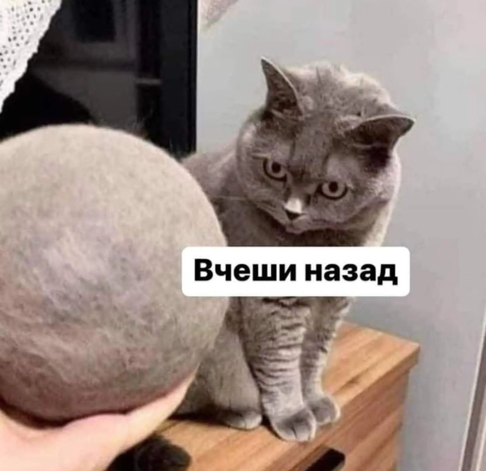Вчеши назад