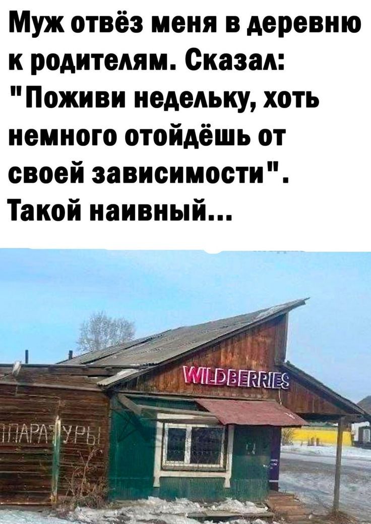 Муж отвёз меня в деревню к родителям. Сказал: 