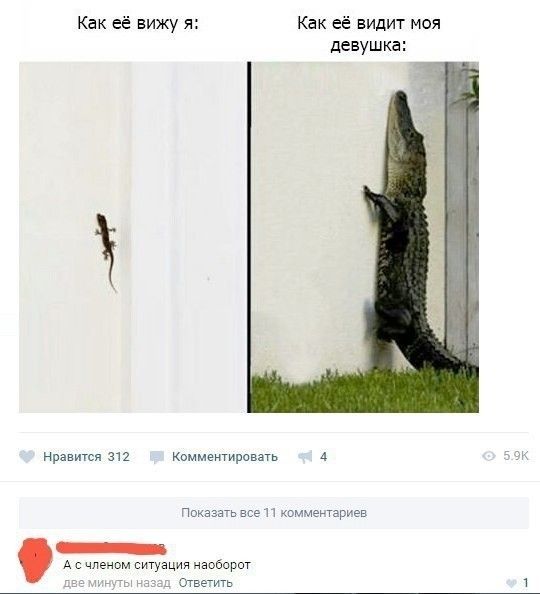 Как её вижу я: Как её видит моя девушка: Нравится 312 Комментировать 4 5.9K Показать все 11 комментариев А с членом ситуация наоборот две минуты назад Ответить