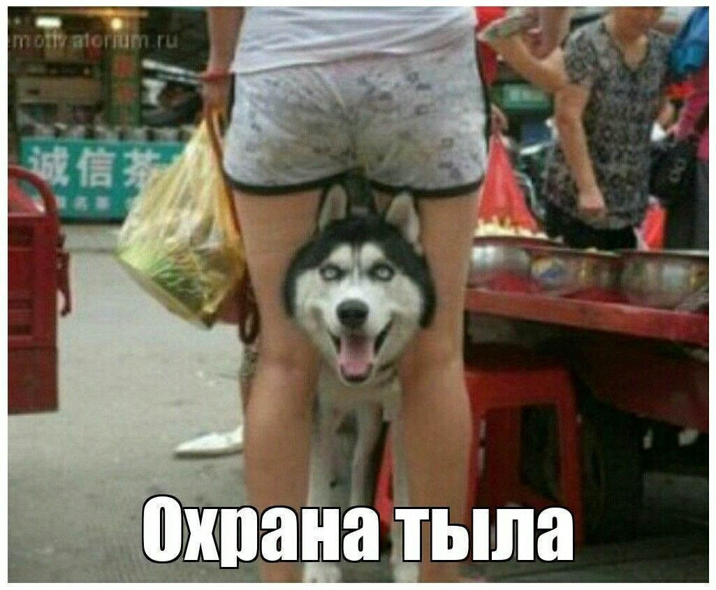 Охрана тыла