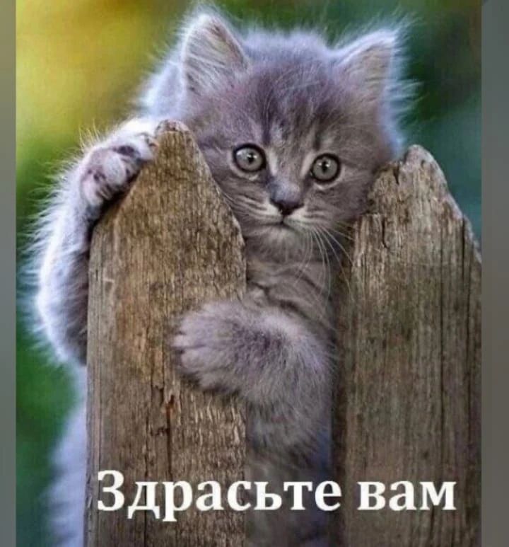 Здрасьте вам