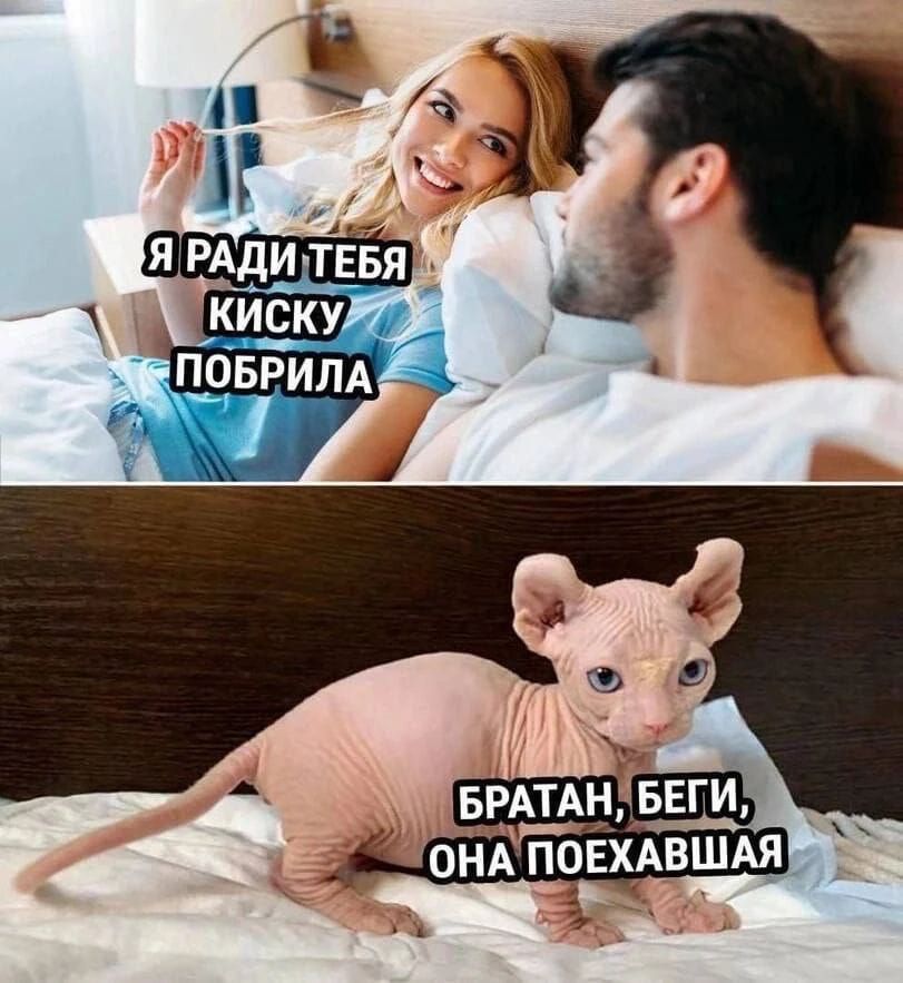 Я ради тебя киску побрила. Братан, беги, она поехавшая