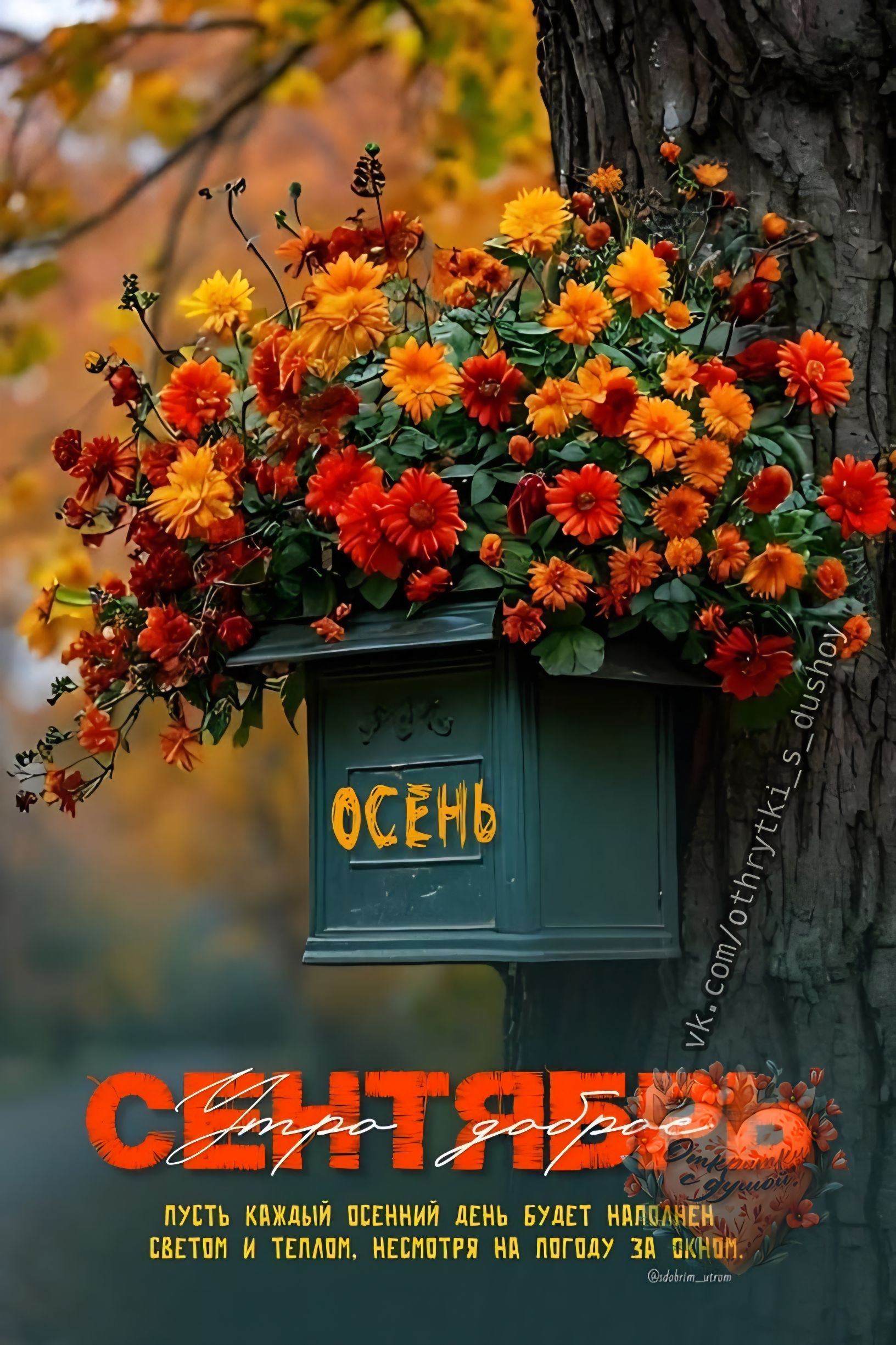 ОСЕНЬ СЕНТЯБРЬ Утро доброе! Пусть каждый осенний день будет наполнен светом и теплом, несмотря на погоду за окном.