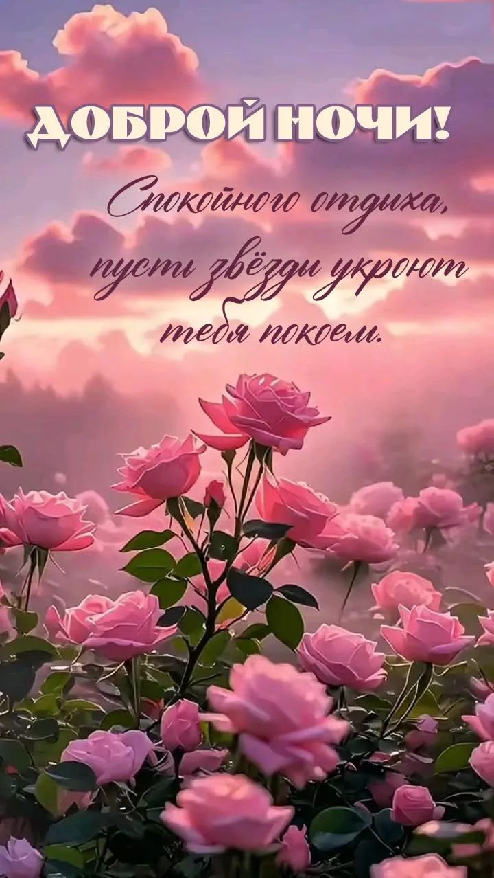ДОБРОЙ НОЧИ! Спокойного отдыха, пусть звёзды укроют тебя покоем.