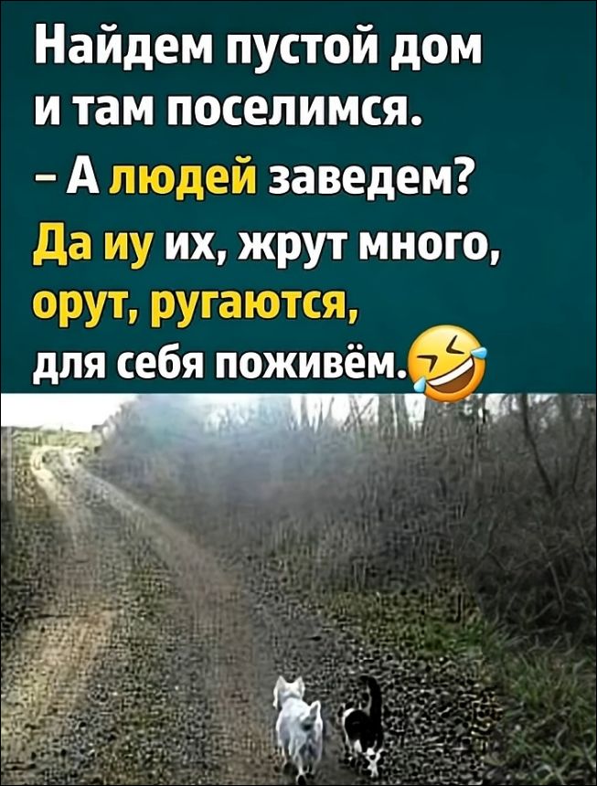 Найдем пустой дом и там поселимся. – А людей заведем? Да иу их, жрут много, орут, ругаются, для себя поживем. 😂