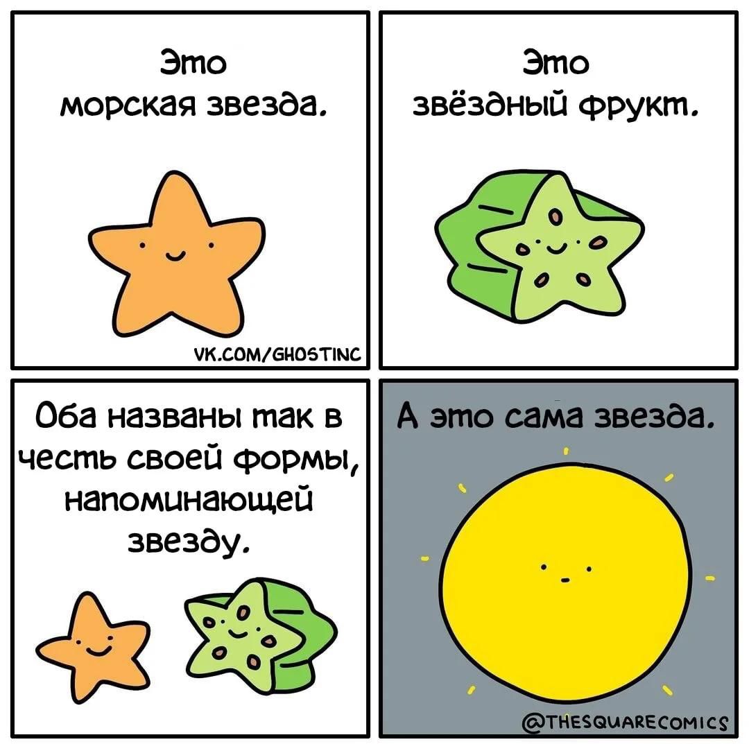 Это морская звезда. Это звёздный фрукт. Оба названы так в честь своей формы, напоминающей звезду. А это сама звезда. VK.COM/GHOSTINC @THESQUARECOMICS