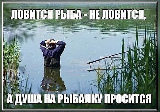 ЛОВИТСЯ РЫБА - НЕ ЛОВИТСЯ, А ДУША НА РЫБАЛКУ ПРОСИТСЯ