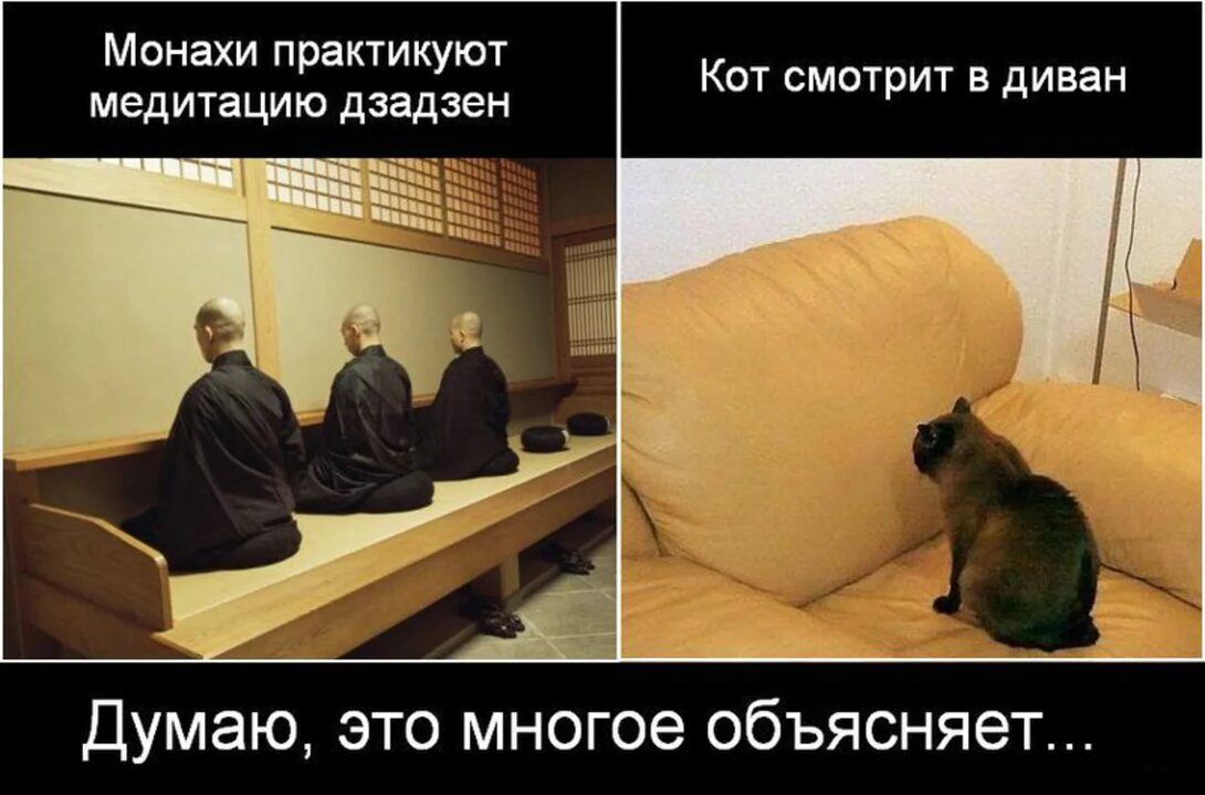 Монахи практикуют медитацию дзадзен
Кот смотрит в диван
Думаю, это многое объясняет...