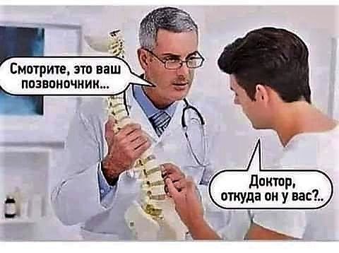Смотрите, это ваш позвоночник... Доктор, откуда он у вас?..