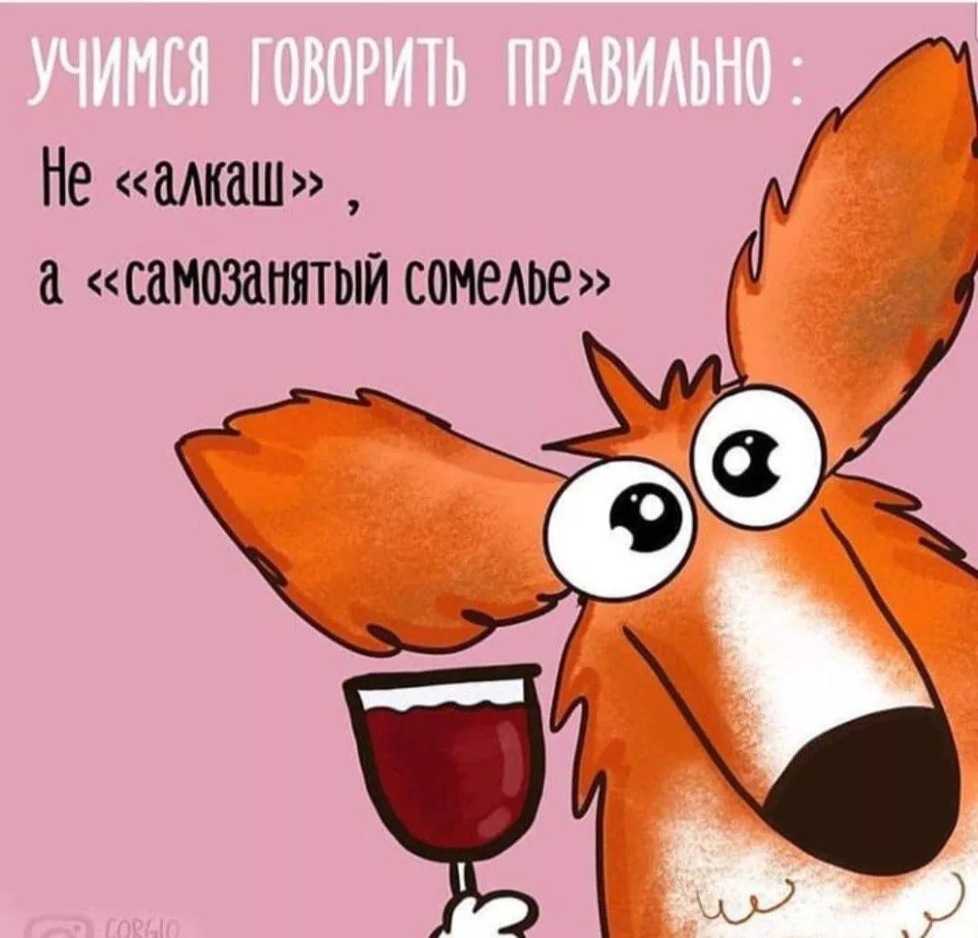 Учимся говорить правильно: Не «алкаш», а «самозанятый сомелье»