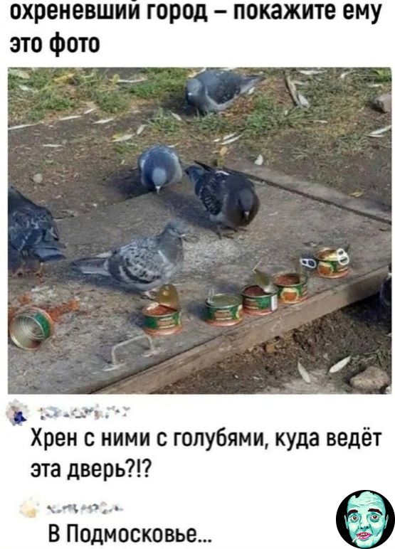 охреневший город – покажите ему это фото Хрен с ними с голубями, куда ведёт эта дверь?!? В Подмосковье...