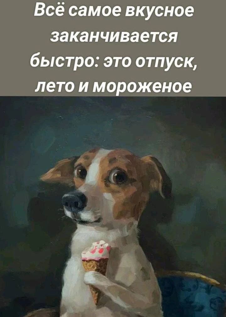 Всё самое вкусное заканчивается быстро: это отпуск, лето и мороженое