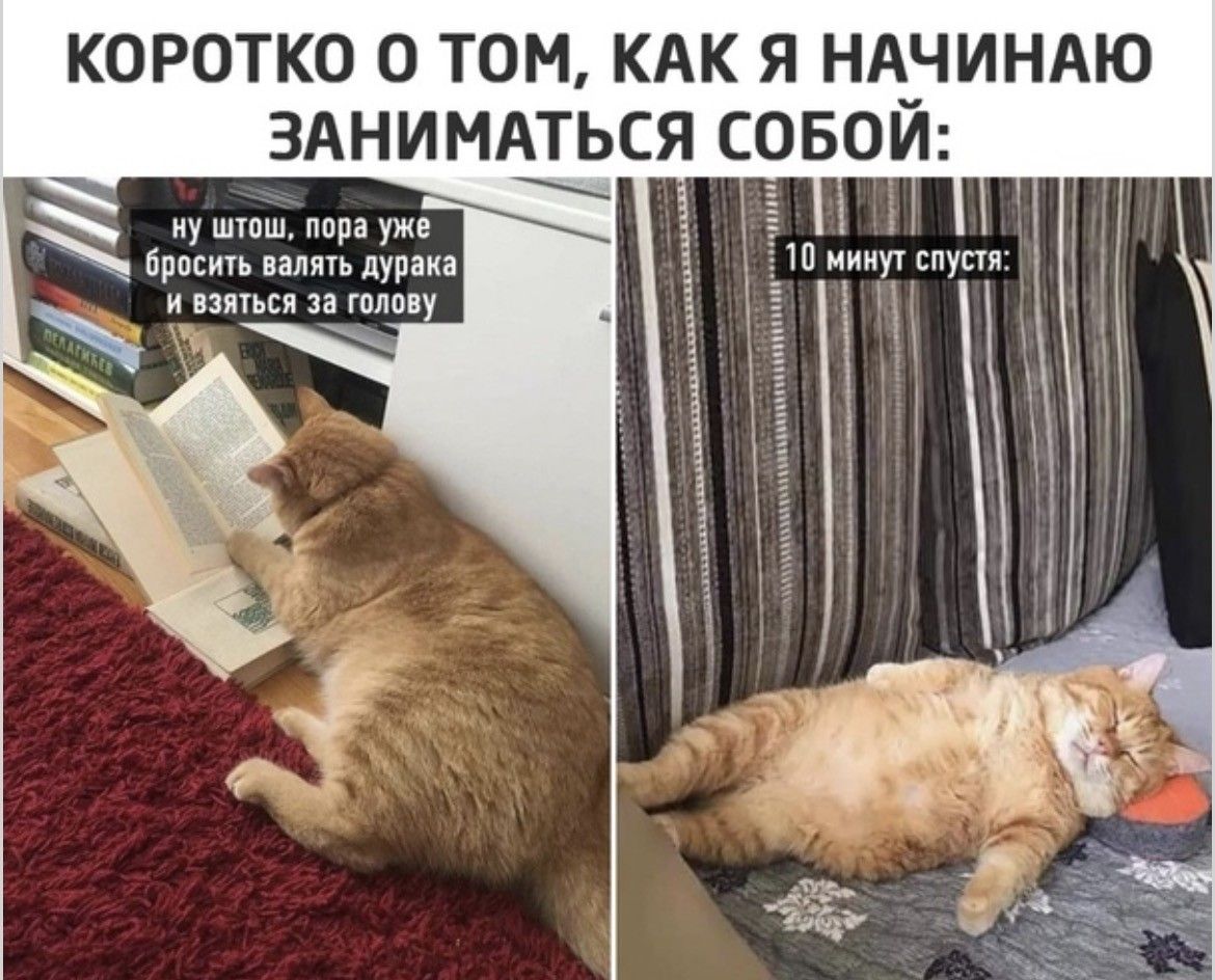 КОРОТКО О ТОМ, КАК Я НАЧИНАЮ ЗАНИМАТЬСЯ СОБОЙ: ну штош, пора уже бросить валять дурака и взяться за голову. 10 минут спустя: