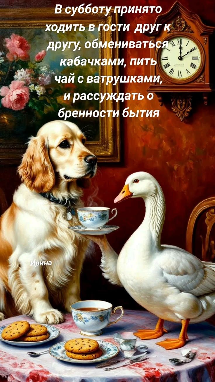 В субботу принято ходить в гости друг к другу, обмениваться кабачками, пить чай с ватрушками, и рассуждать о бренности бытия. Ирина