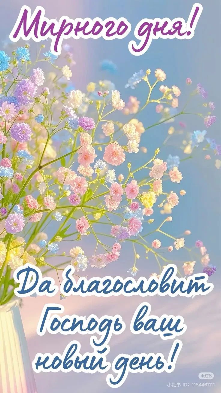 Мирного дня! Да благословит Господь ваш новый день!