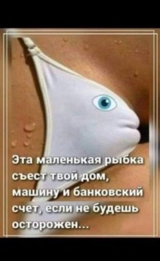 Эта маленькая рыбка съест твой дом, машину и банковский счет, если не будешь осторожен...