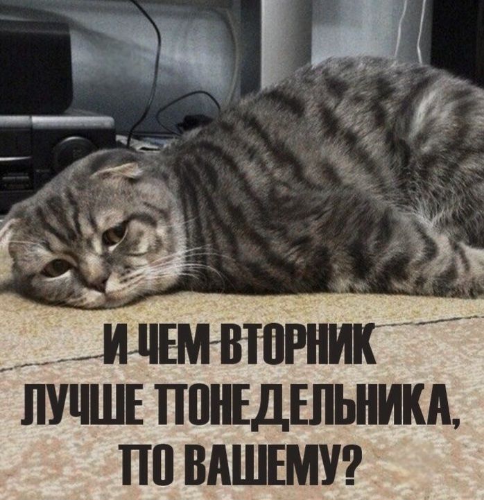 И ЧЕМ ВТОРНИК ЛУЧШЕ ПОНЕДЕЛЬНИКА, ПО ВАШЕМУ?