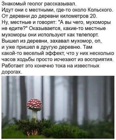 Знакомый геолог рассказывал. Идут они с местными, где-то около Кольского. От деревни до деревни километров 20. Ну, местные и говорят: 