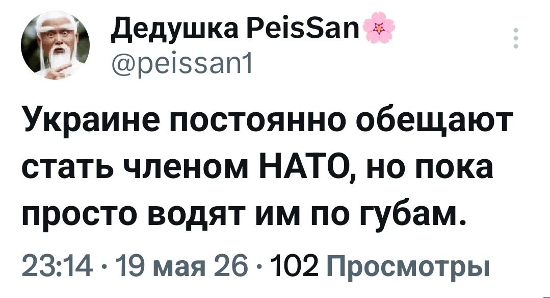Дедушка PeisSan @peissan1 Украине постоянно обещают стать членом НАТО, но пока просто водят им по губам. 23:14 · 19 мая 26 · 102 Просмотры