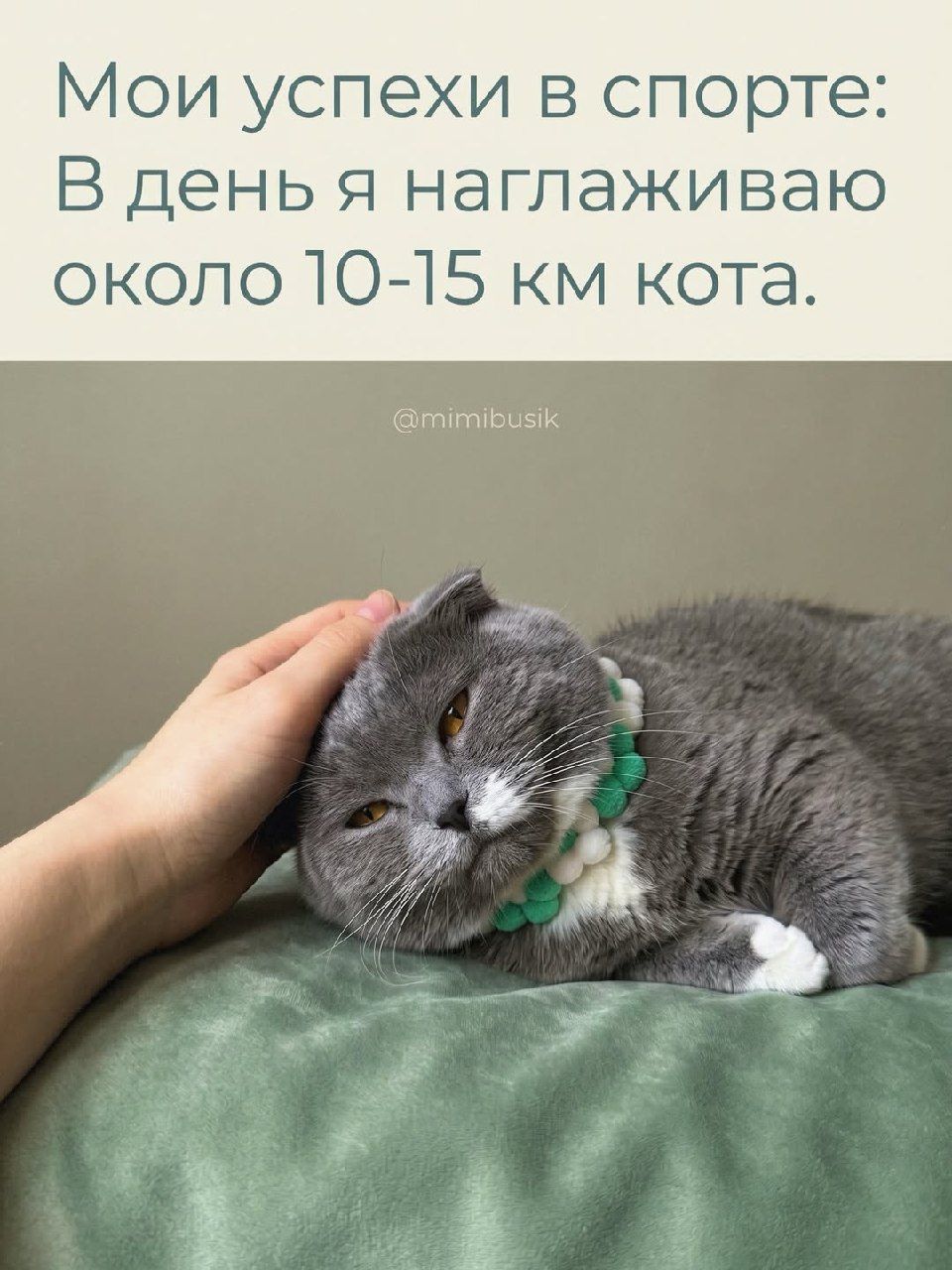 Мои успехи в спорте: В день я наглаживаю около 10-15 км кота.