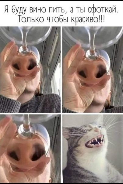 Я буду вино пить, а ты сфоткай. Только чтобы красиво!!!