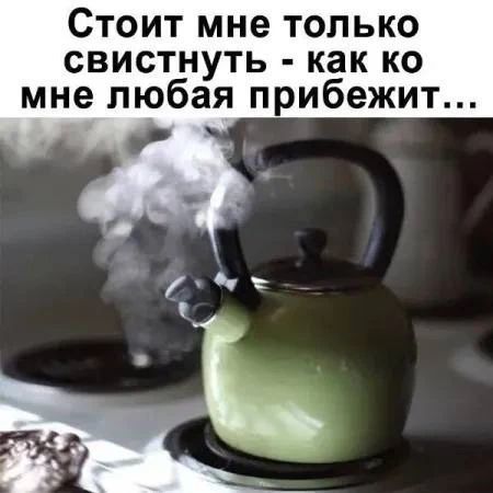 Стоит мне только свистнуть - как ко мне любая прибежит...
