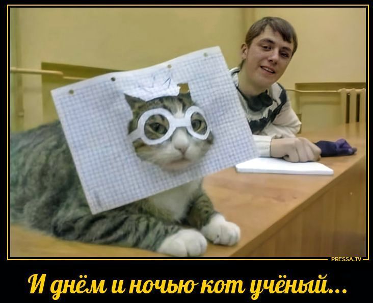 PRESSA.TV И днём и ночью кот учёный...