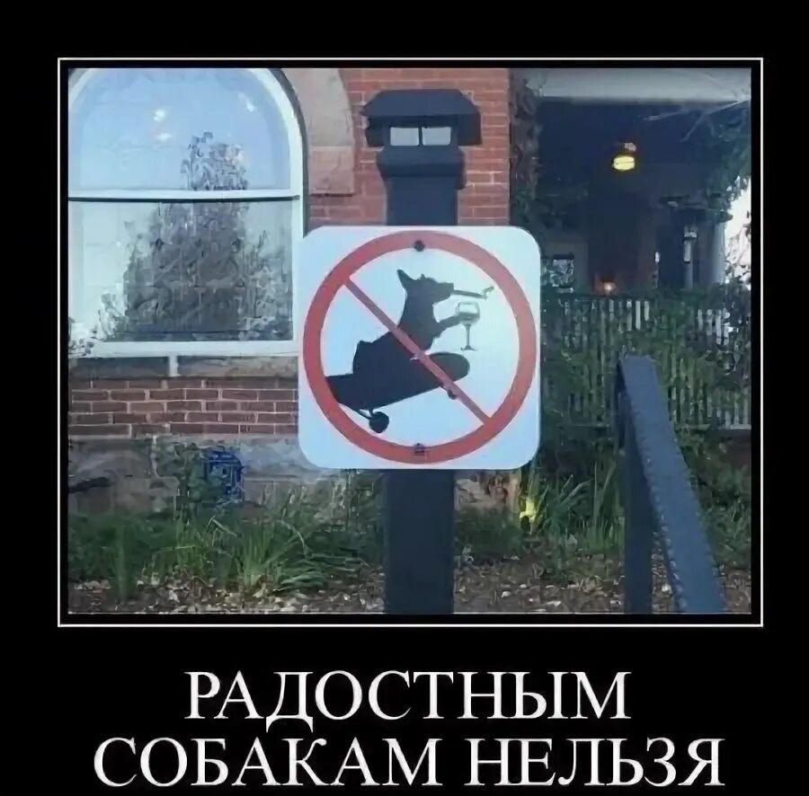 РАДОСТНЫМ СОБАКАМ НЕЛЬЗЯ