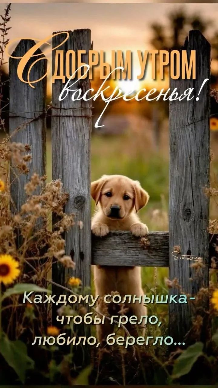 С добрым утром воскресенья! Каждому солнышка - чтобы грело, любило, берегло...