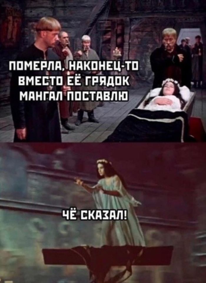 ПОМЕРЛА, НАКОНЕЦ-ТО ВМЕСТО ЕЁ ГРЯДОК МАНГАЛ ПОСТАВЛЮ ЧЁ СКАЗАЛ!