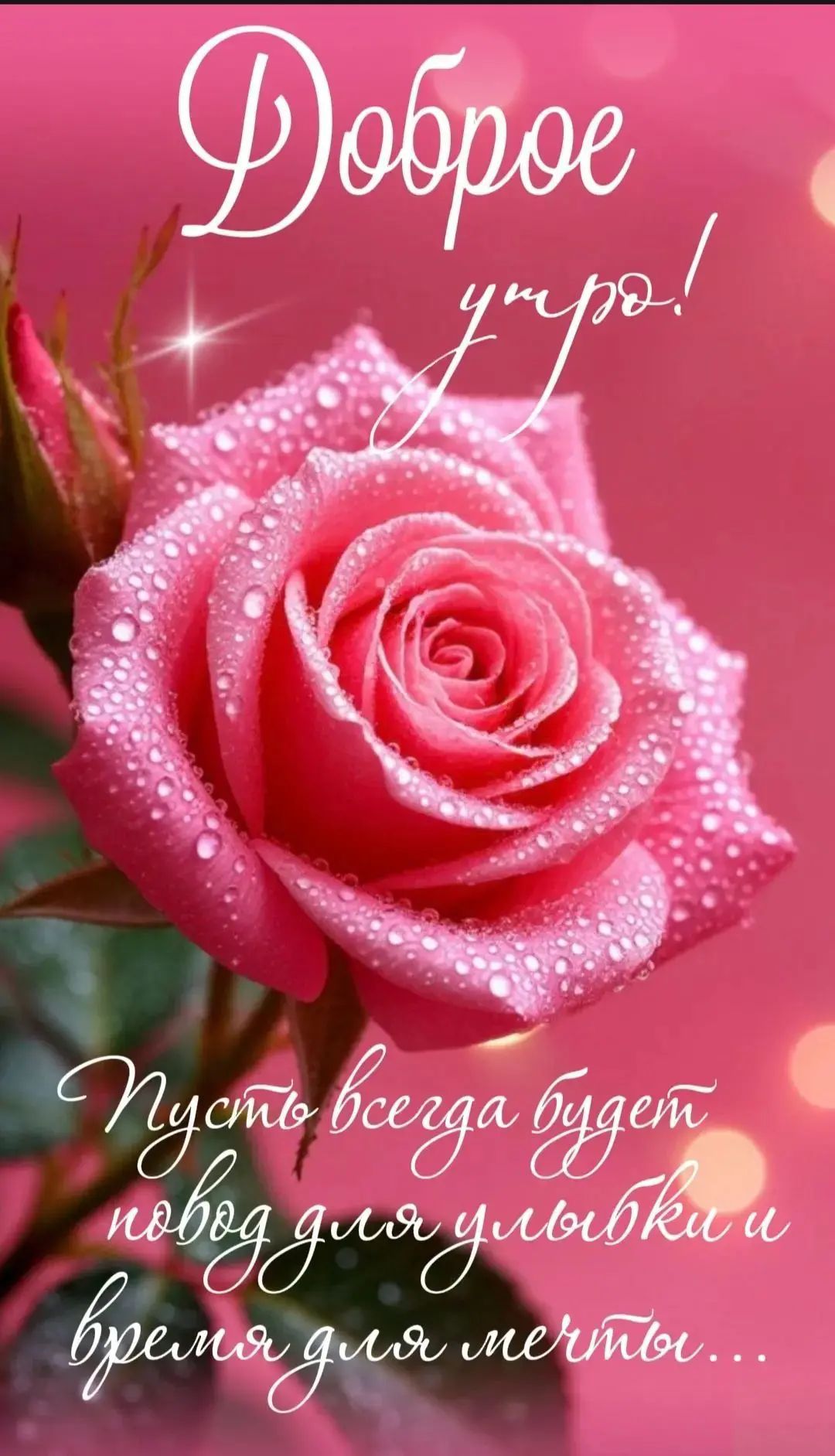 Доброе утро! Пусть всегда будет повод для улыбки и время для мечты...